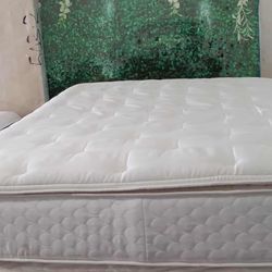 Queen Size Mattress (Colchón Queen Size)