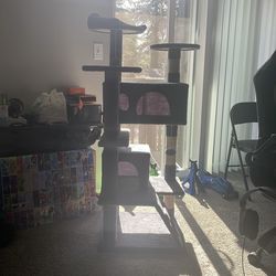 Cat Tree
