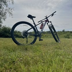 Trek Bike For Sale 