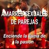 Consejera