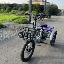 trike e bike