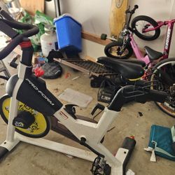 Pro-Form Tour De France Exercise Bike