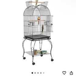 Bird Cage