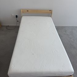 Bed + Mattress Set – Must Go Today – $60 (UCSD/UTC)
