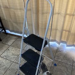 Used Ladder 