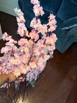 Pink cherry blossoms