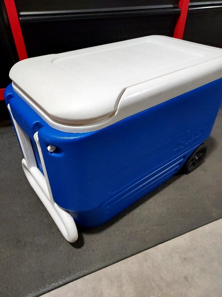 Igloo Cooler Blue White