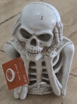 Halloween Skeleton 💀- Lights Up