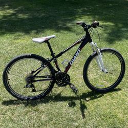 Giant Rebel XC Hardtail Mountain Bike