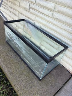 Fish reptile tank aquarium