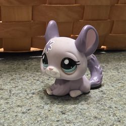 LPS Lilac Chinchilla 