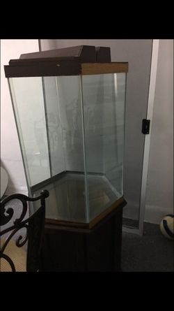 Fish tank with fresh and salt water pump