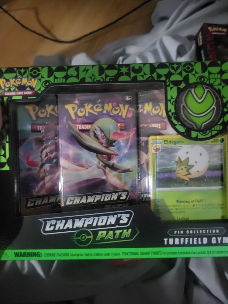 Pokemon Champions Path Turffield Pin Box