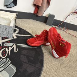 Size 8.5 Jordan 12
