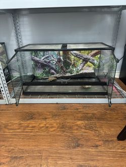 Reptile Tank