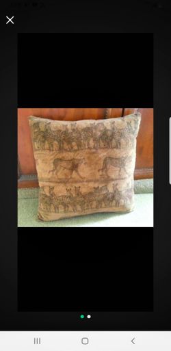 Accessary cushion