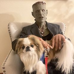 Professional Silicone Frankenstein Mask With Silicone Sleeves Halloween Costume 