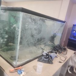 Aquarium 