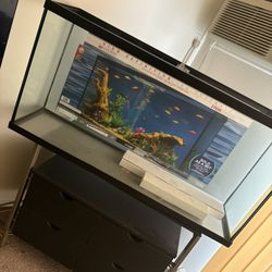 60 gallon  W LED Ensemble Fish Tank