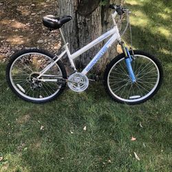 24” Mountain Bike 