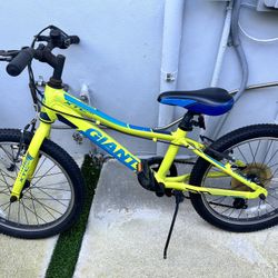 Giant Kids Bicycle