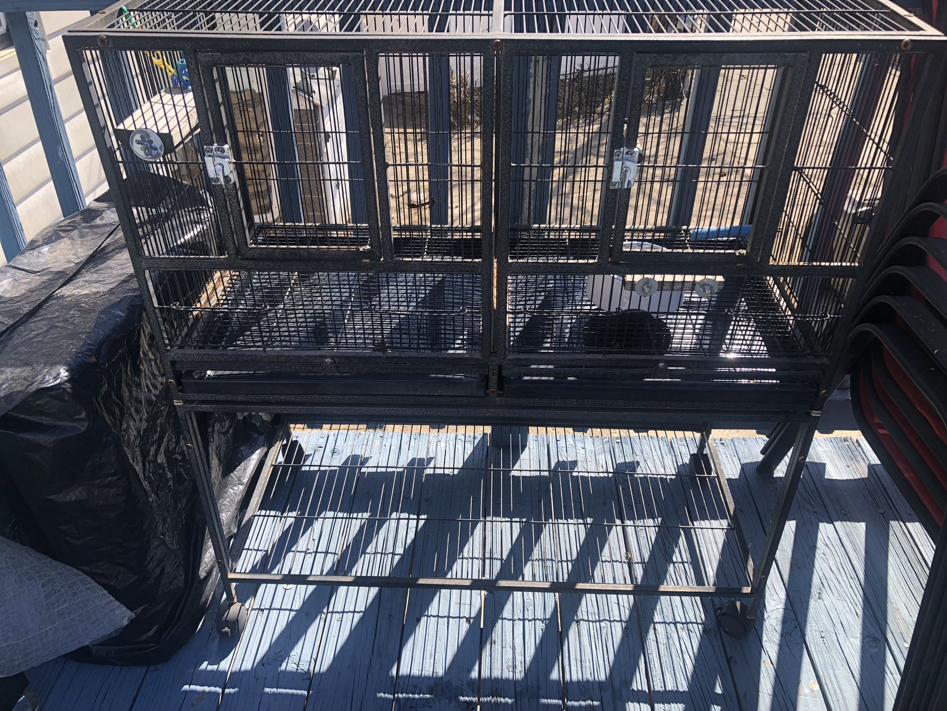 Birds Cage