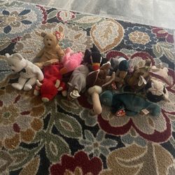 Beanie Babies Collection 