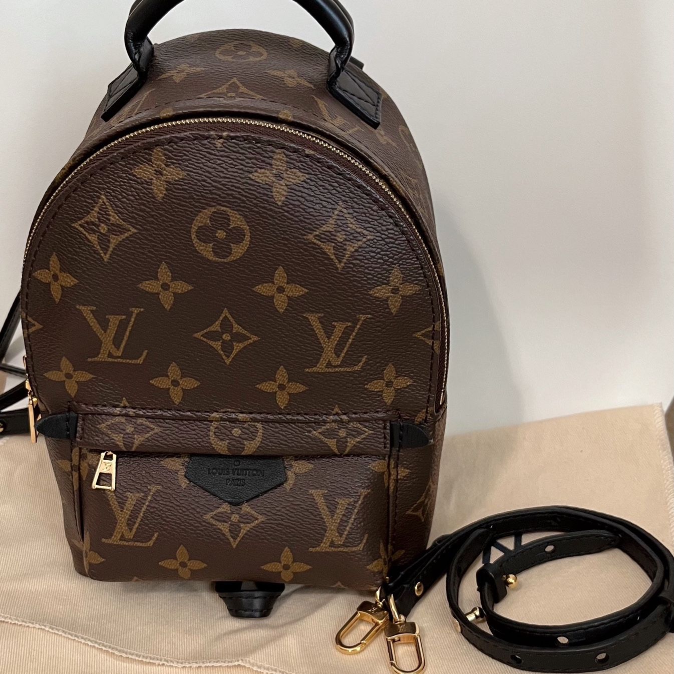 LV PALM SPRING MINI🤎🔒