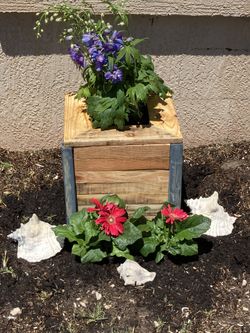 Rustic Wooden Planters