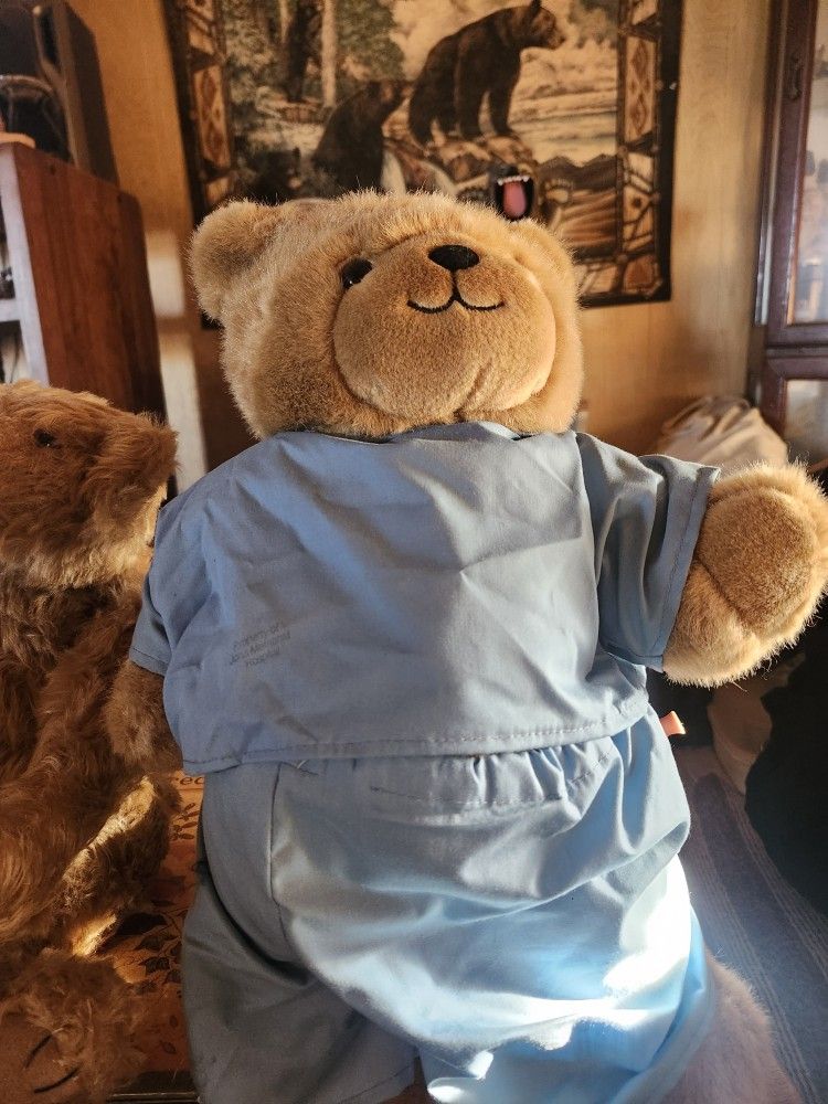 Dr Teddy Bear