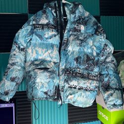 RARE: North Face Printed Himalayan Down Parka
