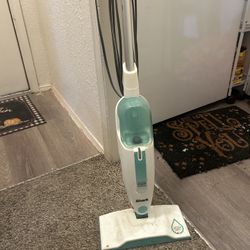 Steamer Comes With Cleaning Pad 