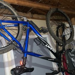 Giant Mountain Bicycle