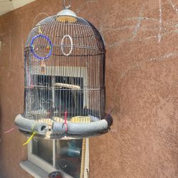 Jaula Para Pajaritos 
