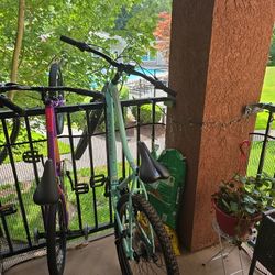Schwinn Womens Mountain Bike