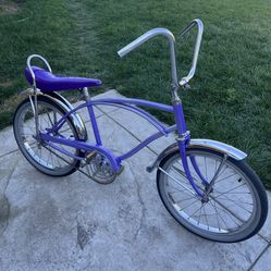 20 Inch Murray WildCat