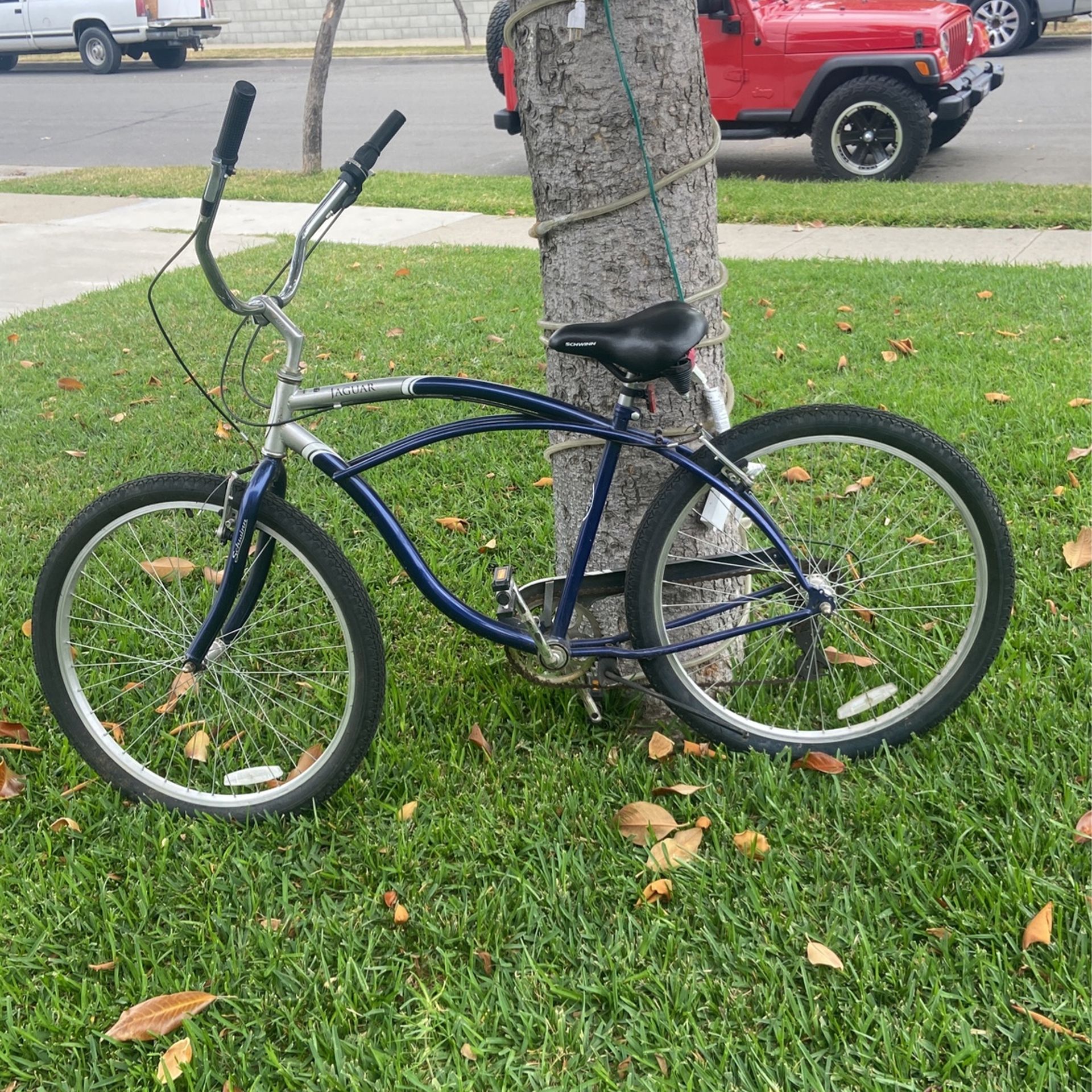 Schwinn Jaguar Beach Cruiser