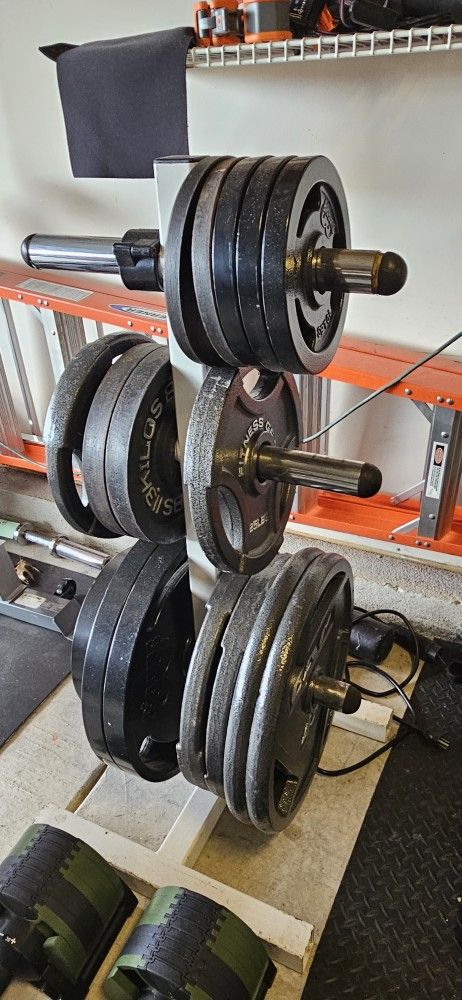 Olympic Weights Plus Stand