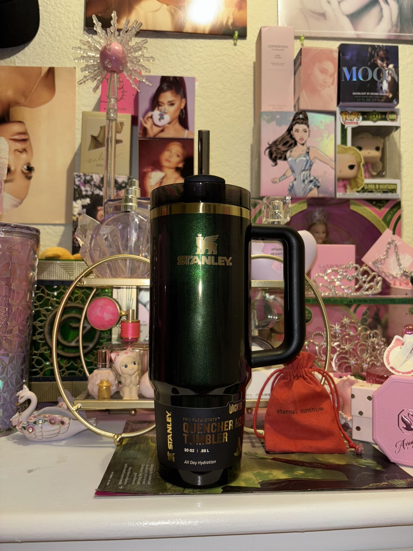 Wicked Stanley Elphaba