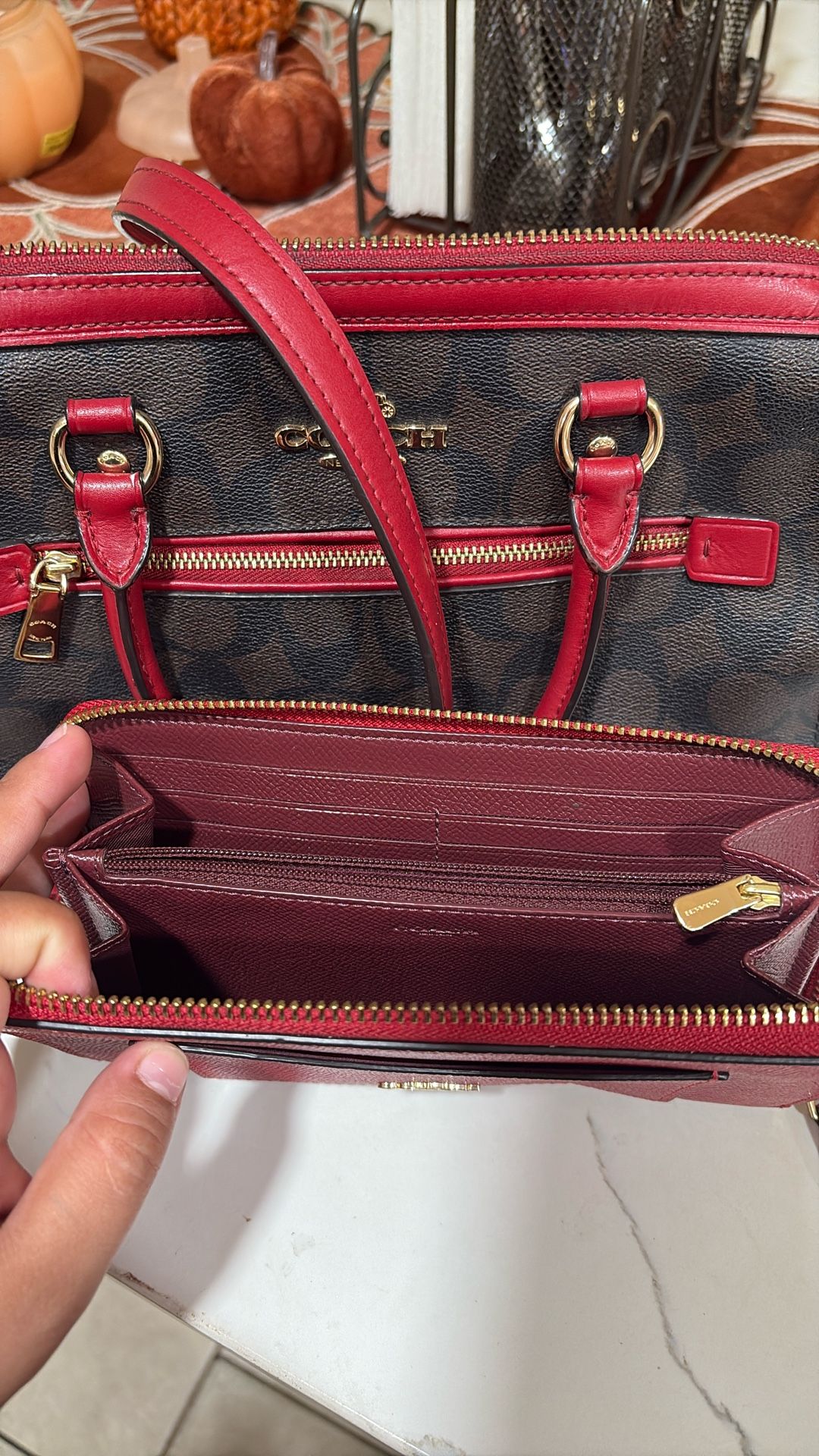 Coach Bag & Wallet