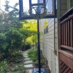 Lifetime Products Basketball Hoop