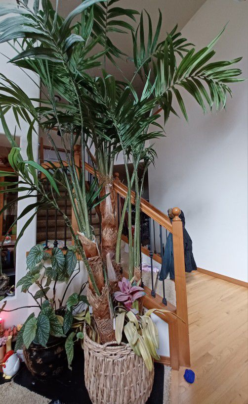 Faux Plant / Fake Palm Tree