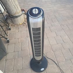 Fan