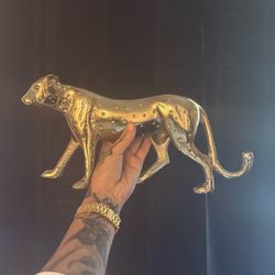 Cool Gold Cat