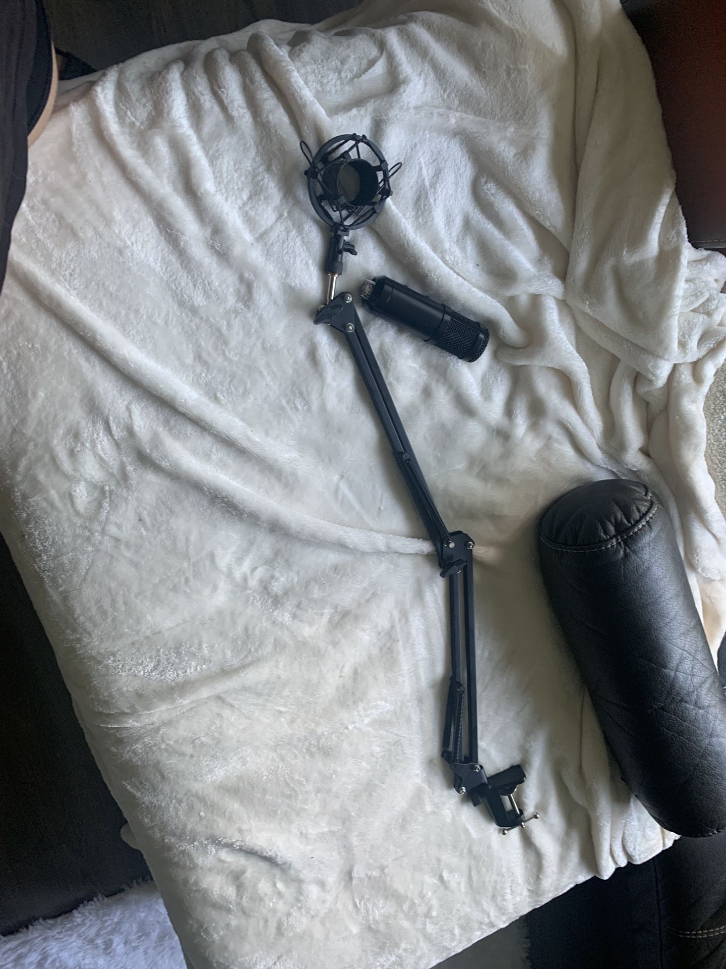 Microphone