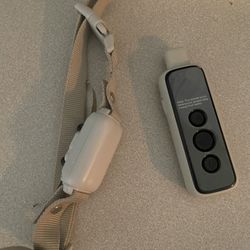 Electric Dog Collar