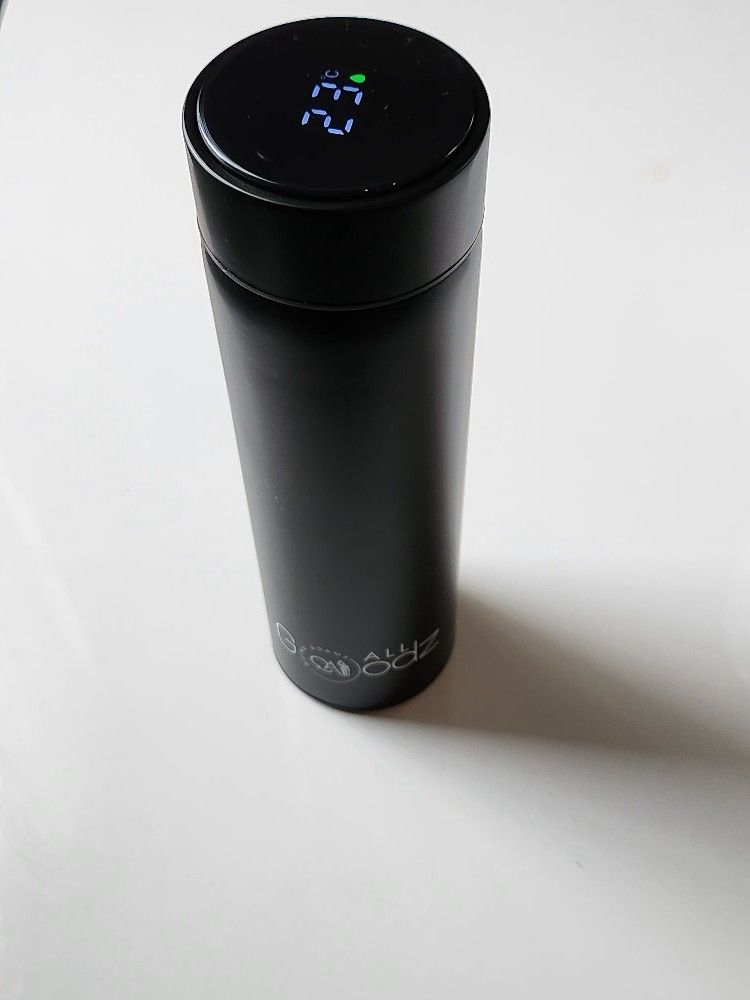 Stainless Steel Temperature Water Bottle