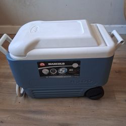 Egloo Cooler