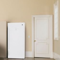 Like New GE Standing freezer