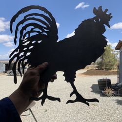 Rooster 20” $20… Hens 13” $13 each 